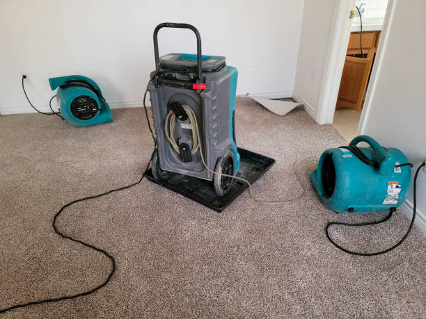 Best Professional water damage repair  in Horse Shoe, NC
