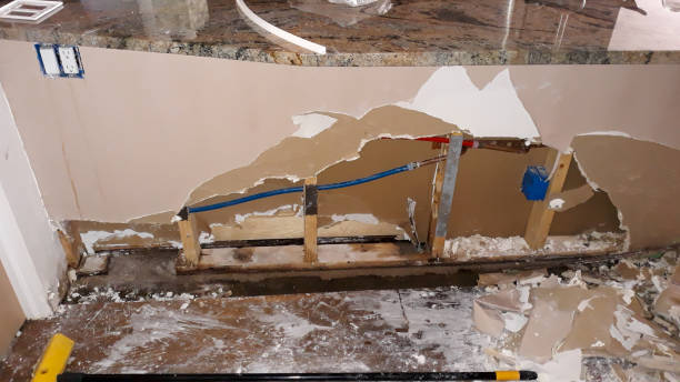 Best Basement water damage restoration  in Horse Shoe, NC