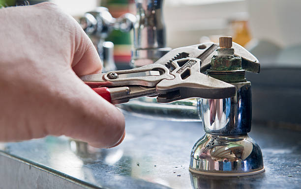 Best Local water damage restoration  in Horse Shoe, NC