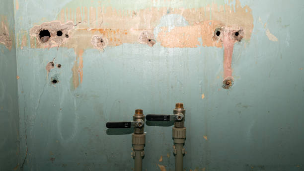 Best Water damage restoration cost  in Horse Shoe, NC