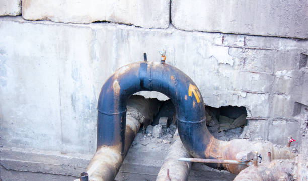  Horse Shoe, NC Water damage restoration Pros